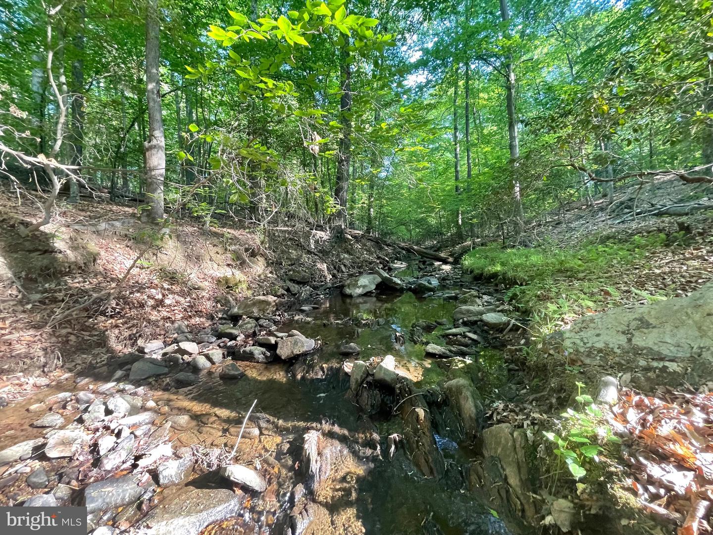 Lot 3 Deer Mountain Rd Property Photo 2