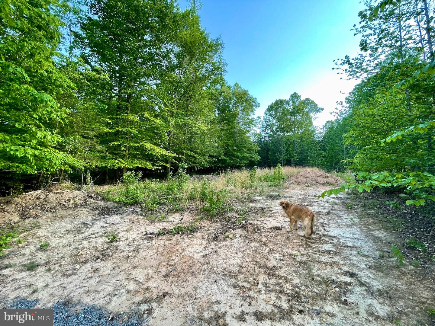Lot 3 Deer Mountain Rd Property Photo 3