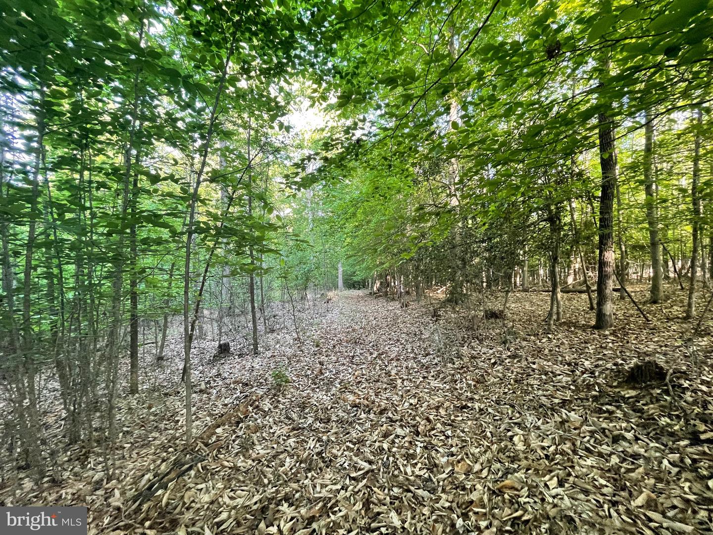 Lot 3 Deer Mountain Rd Property Photo 5
