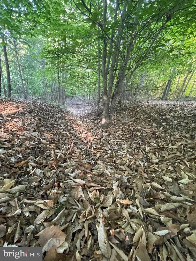 Lot 3 Deer Mountain Rd Property Photo 7