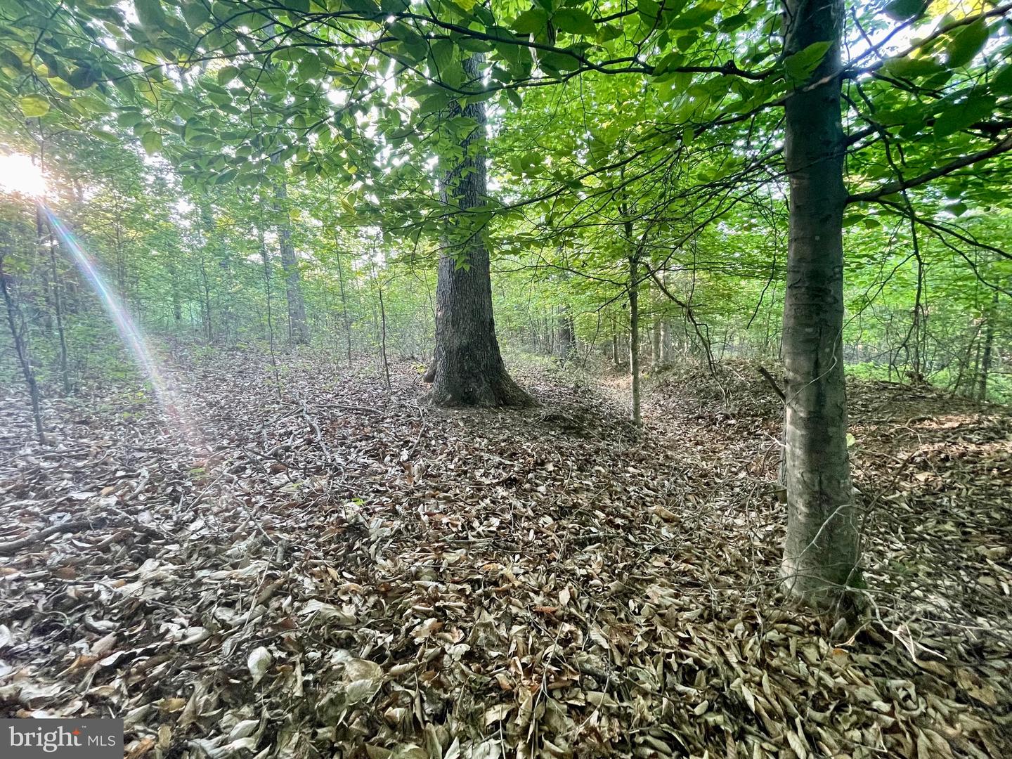 Lot 3 Deer Mountain Rd Property Photo 10