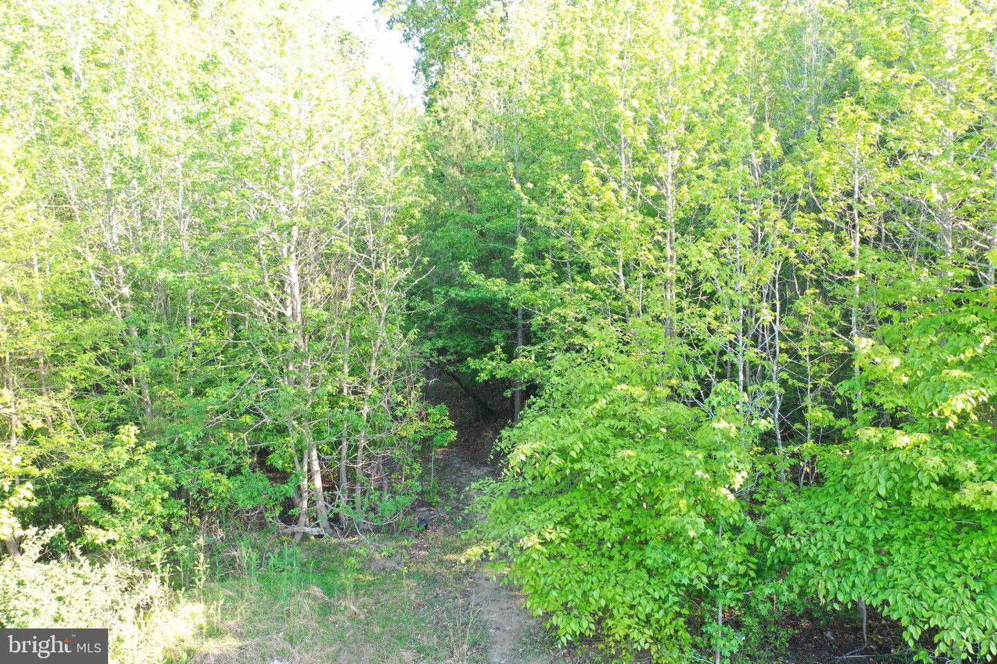 Lot 3 Deer Mountain Rd Property Photo 15