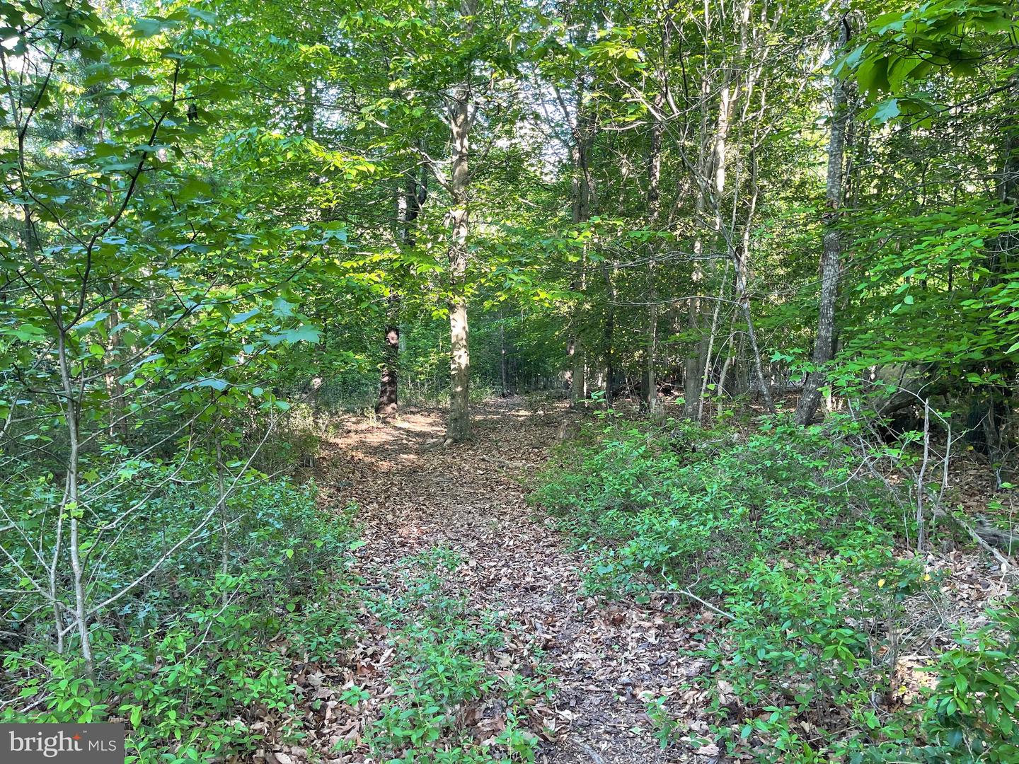 Lot 3 Deer Mountain Rd Property Photo 18