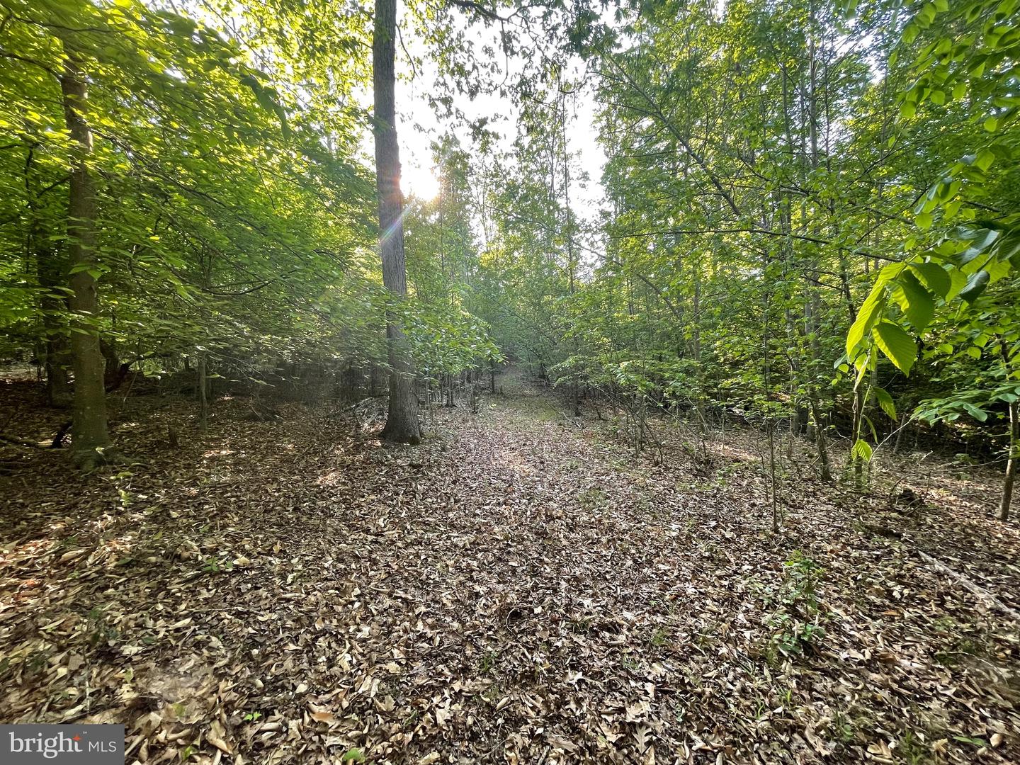 Lot 3 Deer Mountain Rd Property Photo 19