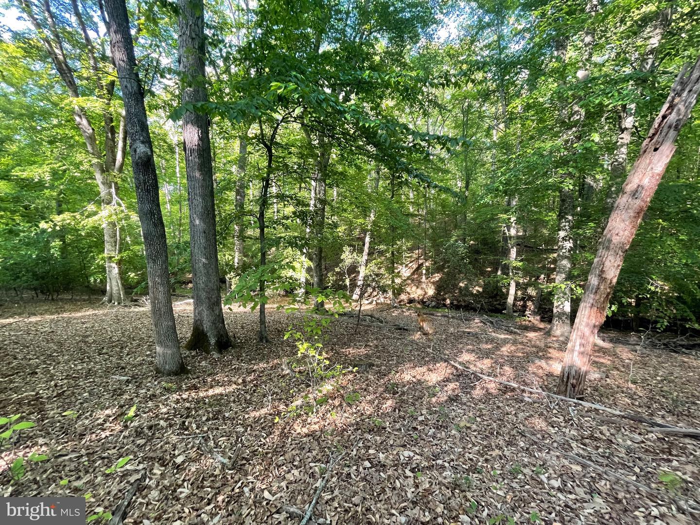 Lot 3 Deer Mountain Rd Property Photo 20