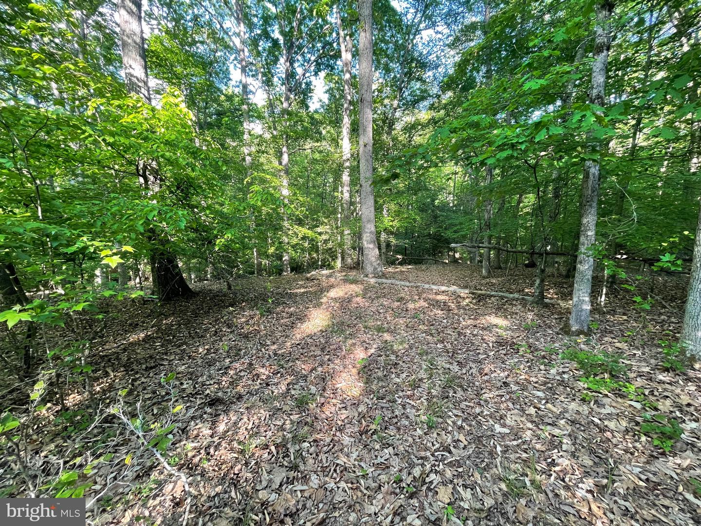 Lot 3 Deer Mountain Rd Property Photo 21