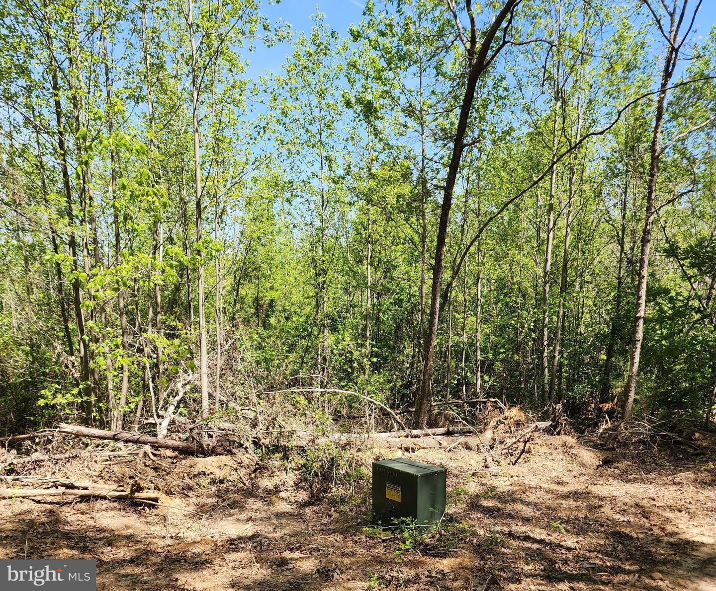 Massey Rd Property Photo 3
