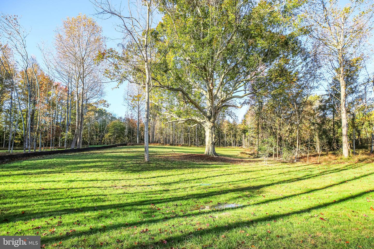11002 Scotts View Ln Property Photo 47