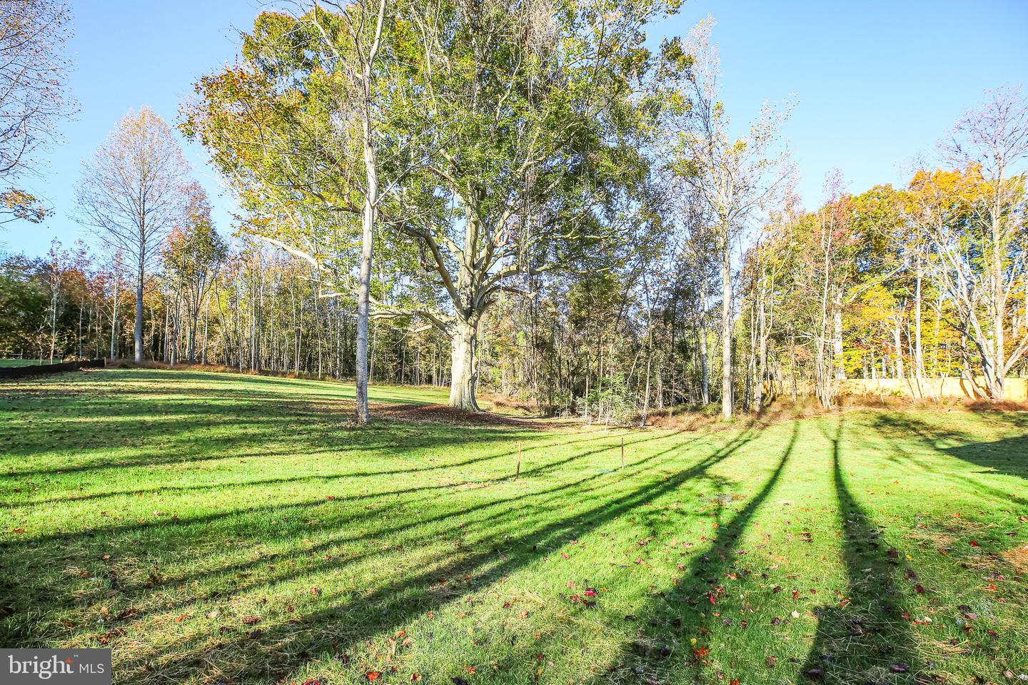 11002 Scotts View Ln Property Photo 48