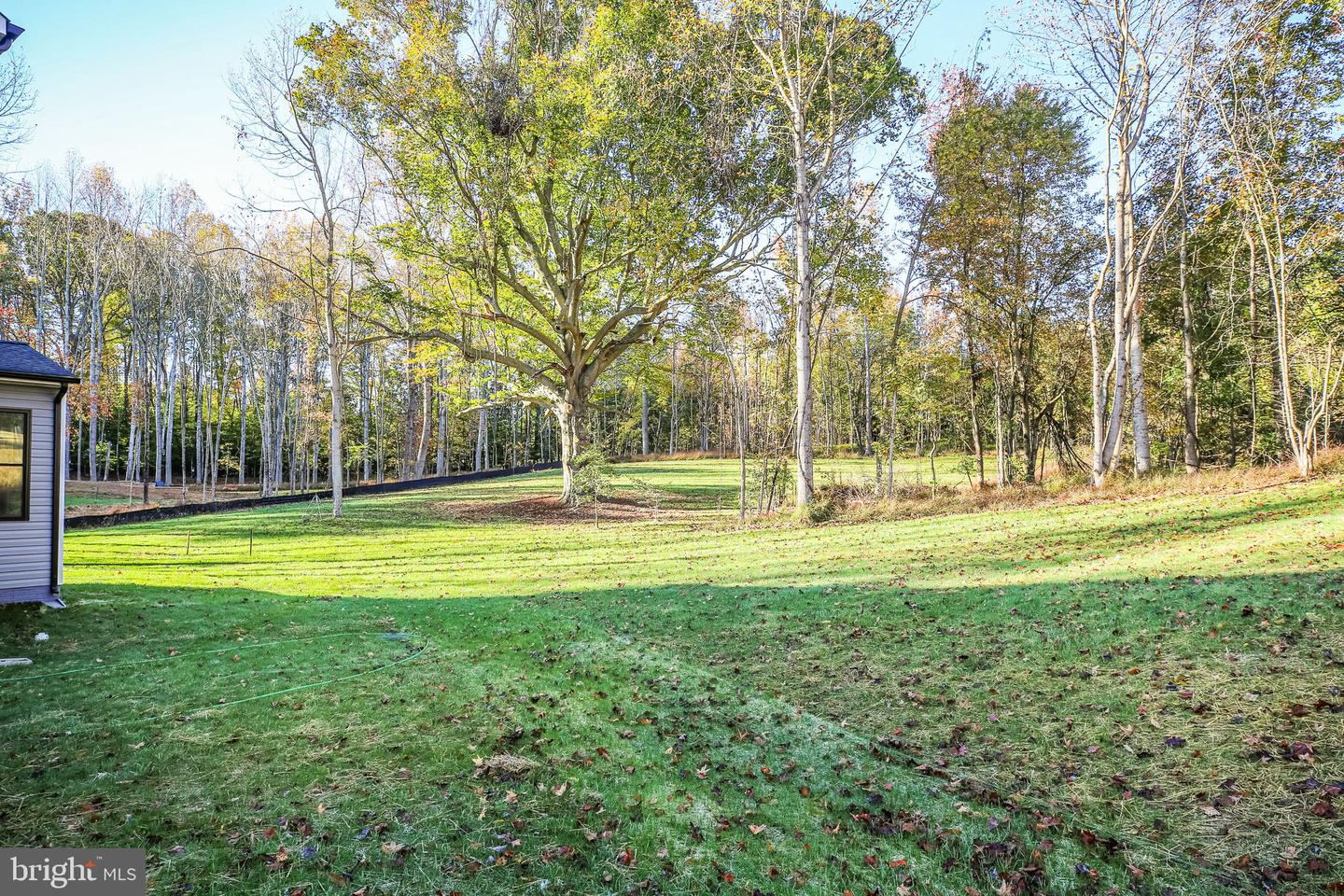 11002 Scotts View Ln Property Photo 52
