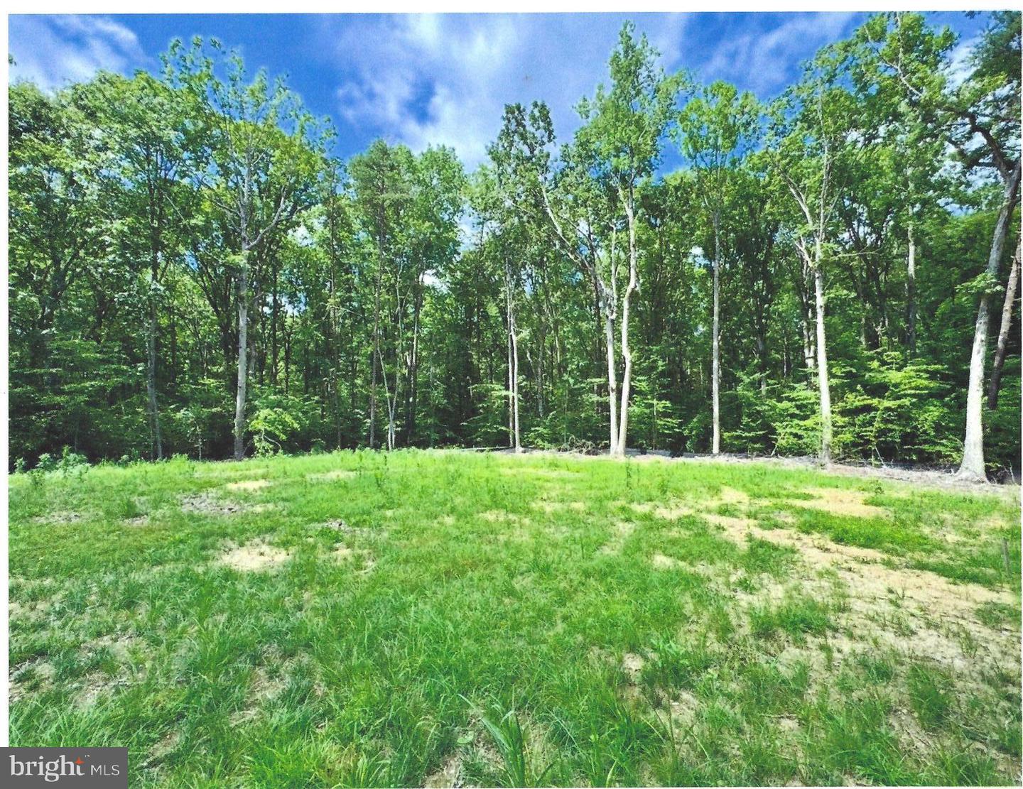 14409 Spotswood Furnace Rd Property Photo 2