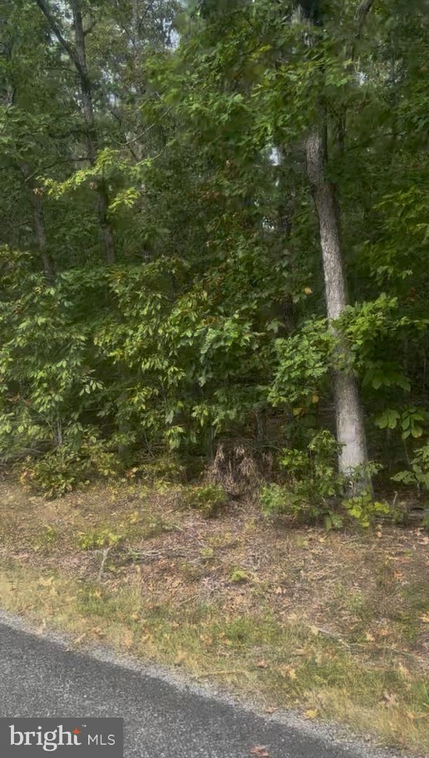 Log Cabin Property Photo 2