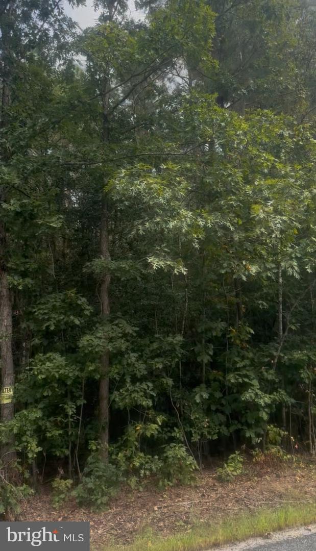 Log Cabin Property Photo 4