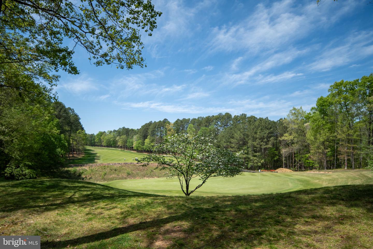 11515 Fawn Lake Pkwy Property Photo 24
