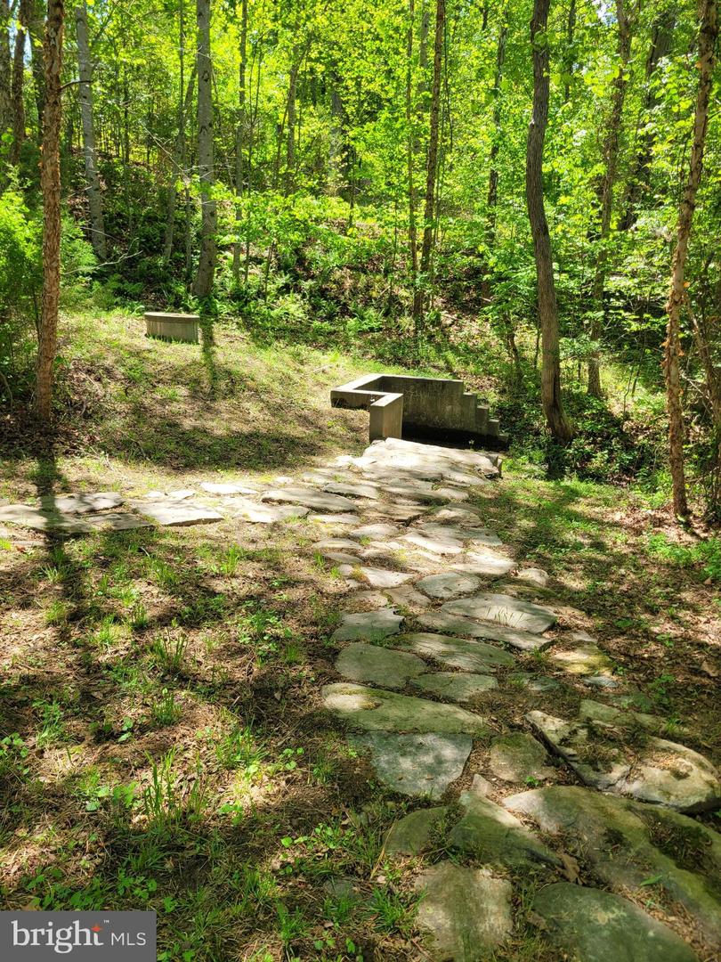 6000 Haleys Mill Rd Property Photo 76