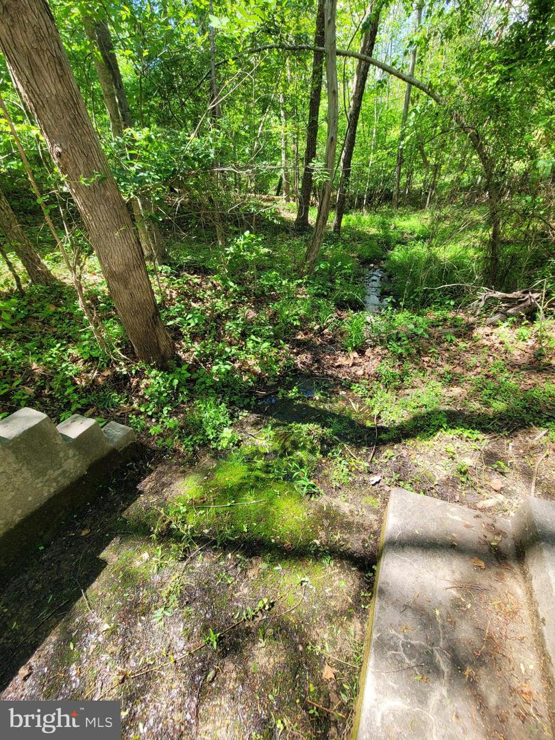 6000 Haleys Mill Rd Property Photo 78