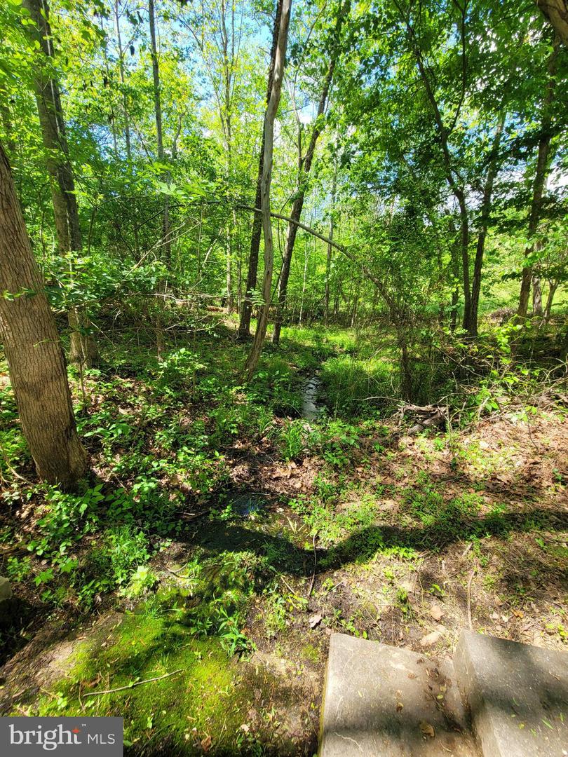 6000 Haleys Mill Rd Property Photo 79