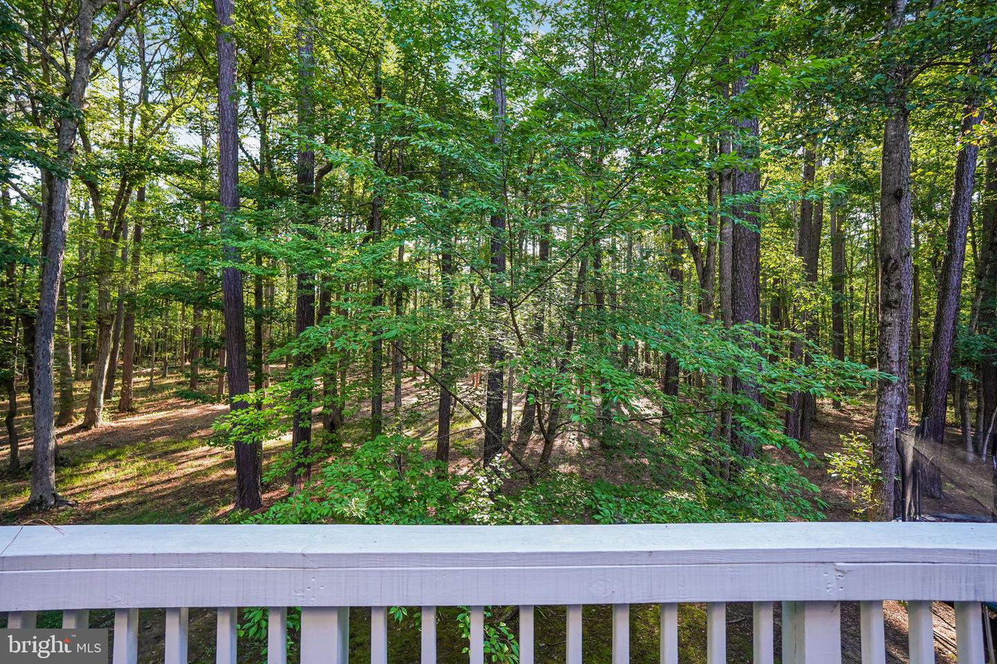 12001 Honor Bridge Farm Dr Property Photo 14