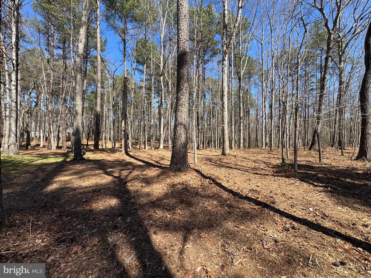 12001 Honor Bridge Farm Dr Property Photo 104