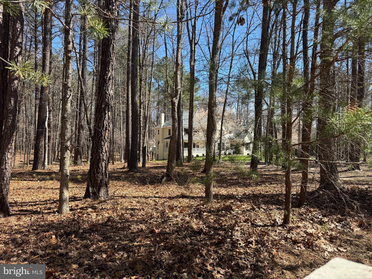 12001 Honor Bridge Farm Dr Property Photo 106