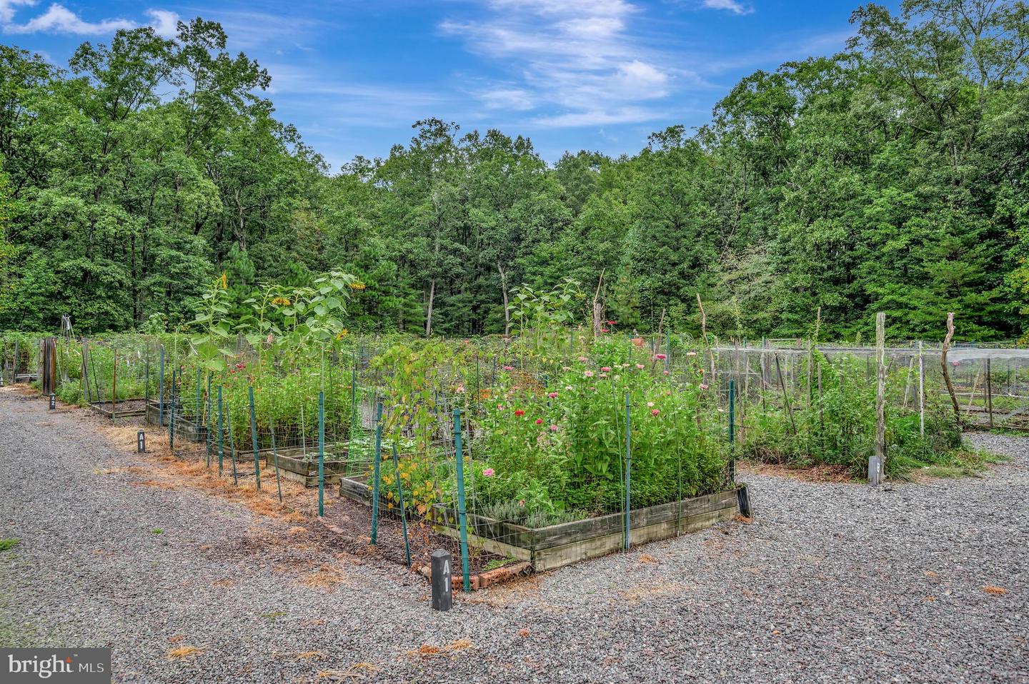 12001 Honor Bridge Farm Dr Property Photo 131
