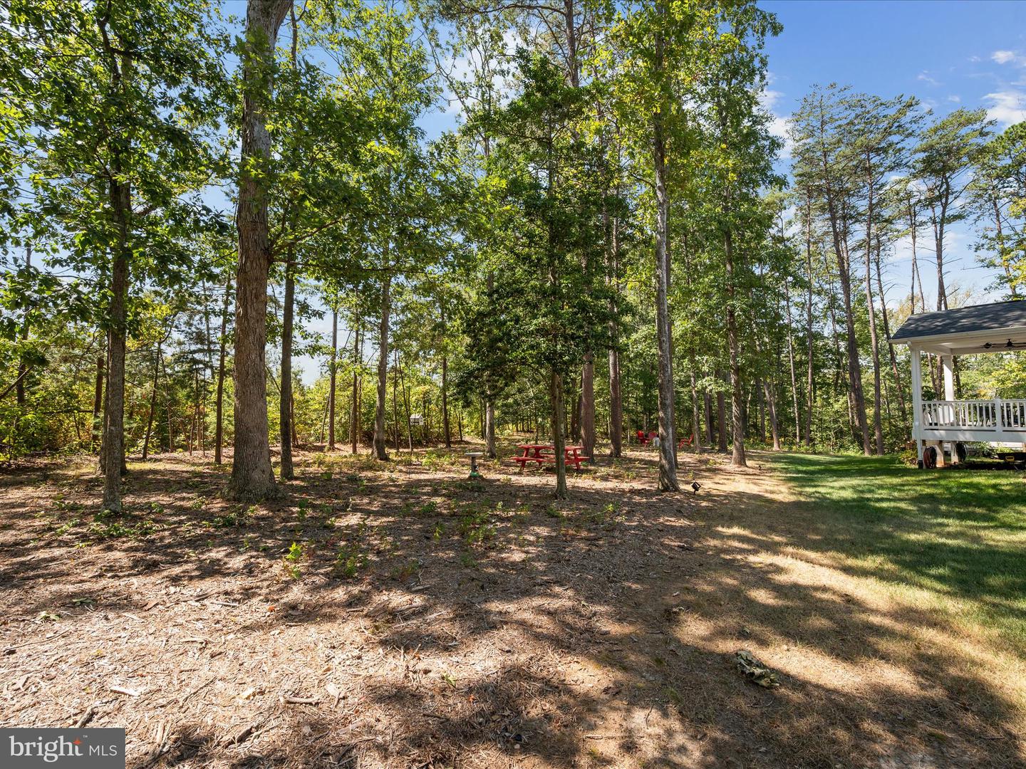 11710 Southview Ct Property Photo 67