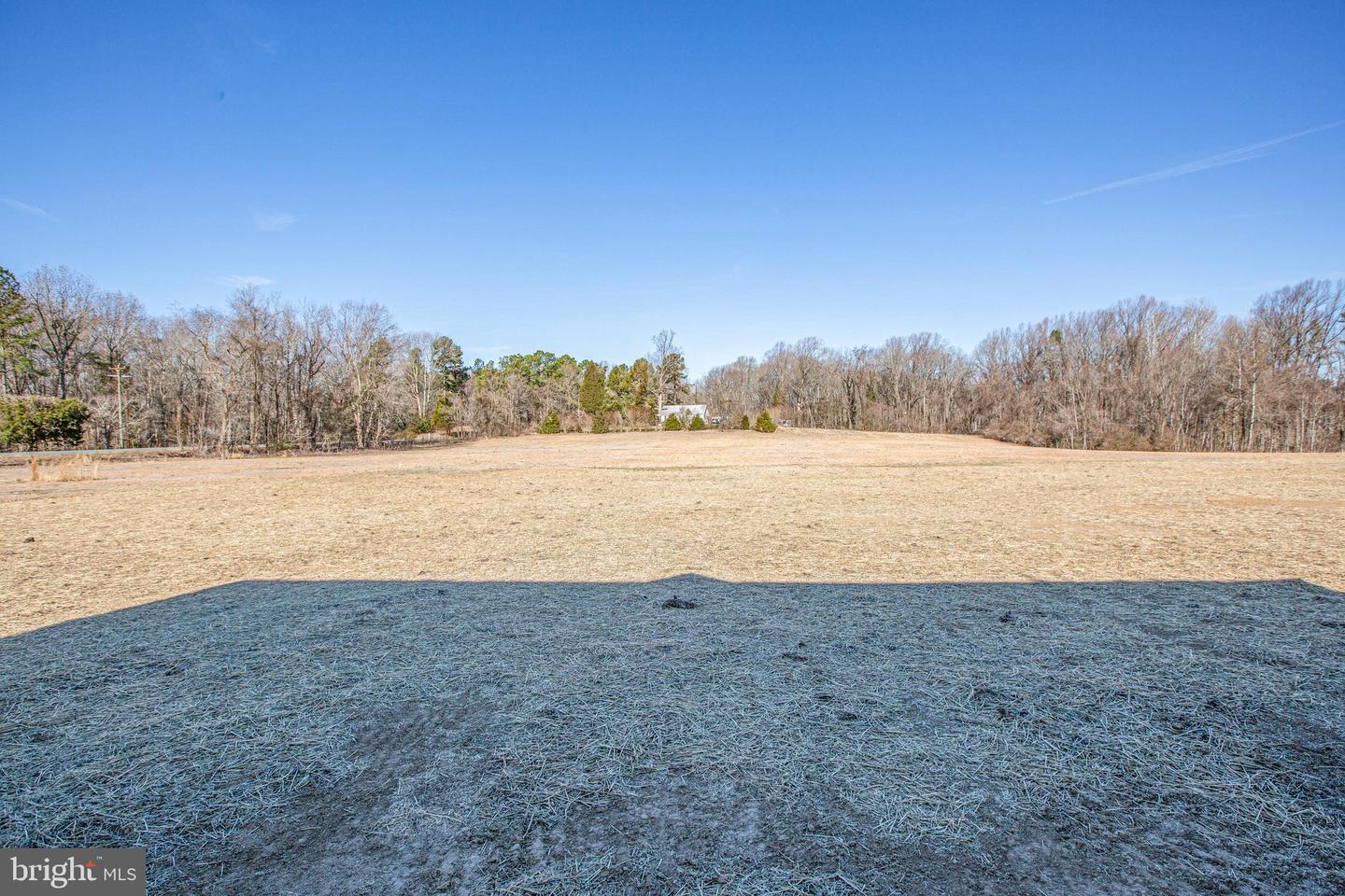 12423 Josephine Ln Property Photo 40