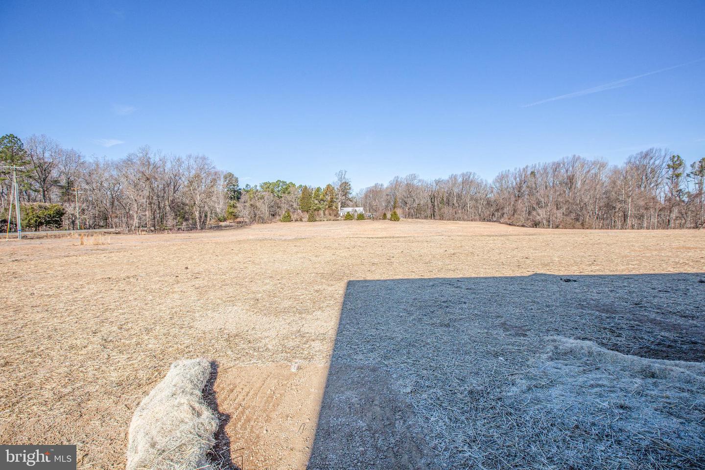 12423 Josephine Ln Property Photo 41