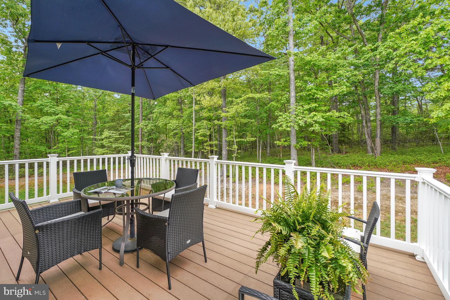 8524 Laroque Run Dr Property Photo 50