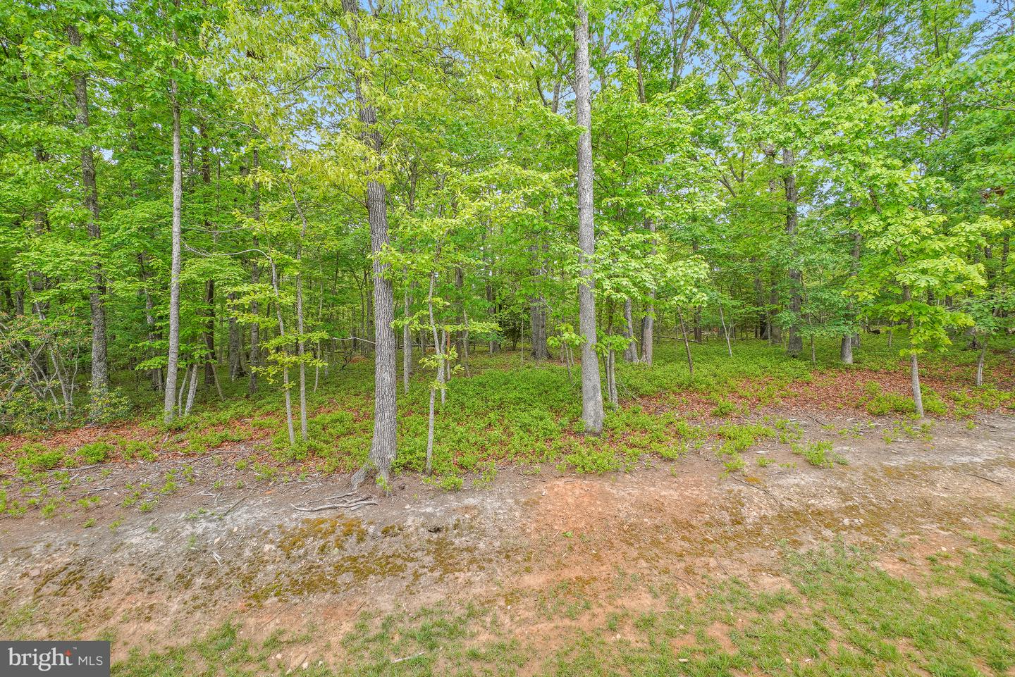 8524 Laroque Run Dr Property Photo 51