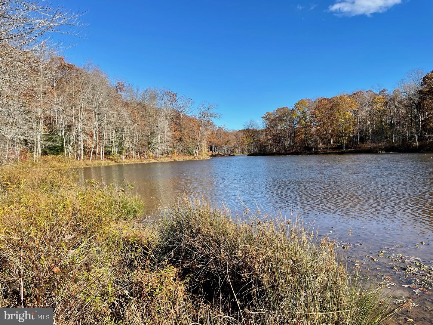 Lot 3 And 4 Piney Branch Rd Property Photo 1