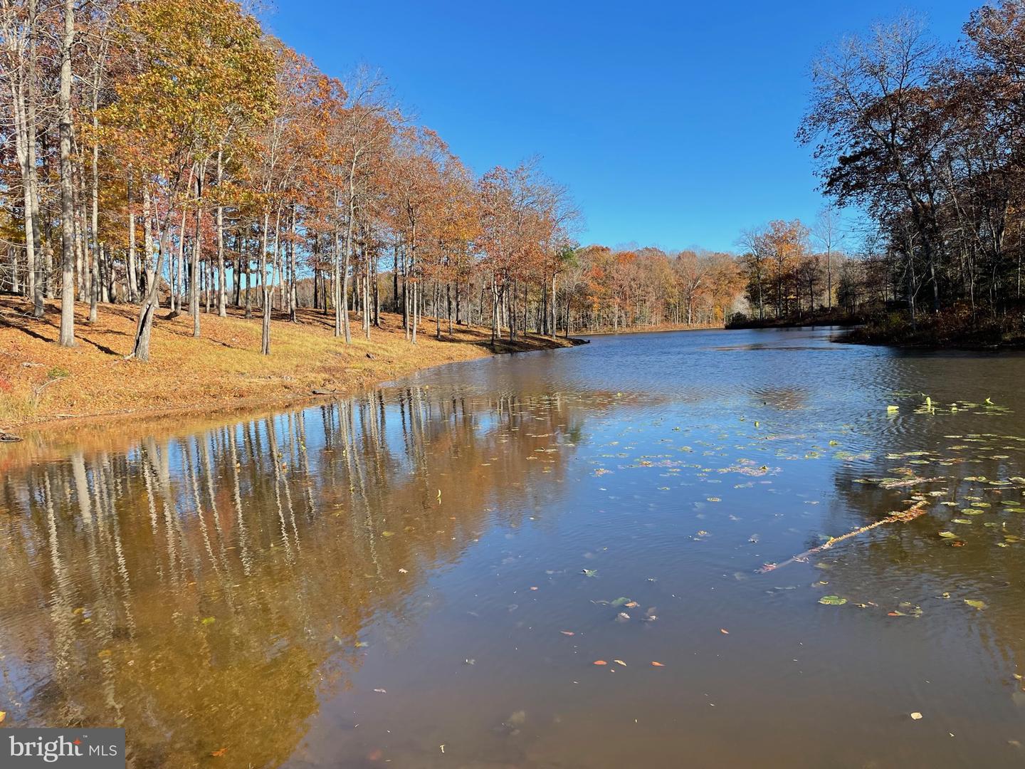 Lot 3 And 4 Piney Branch Rd Property Photo 3