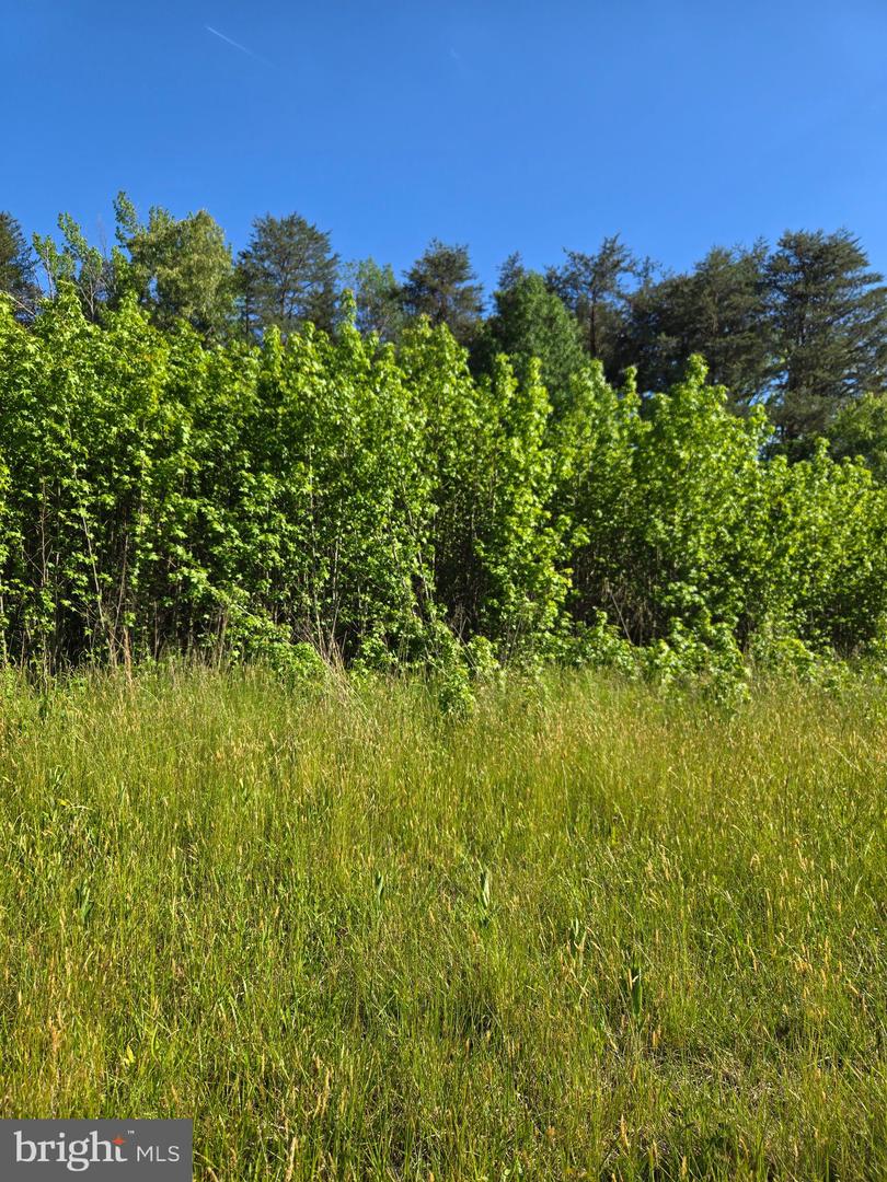 4336 Massaponax Church Rd Property Photo 1