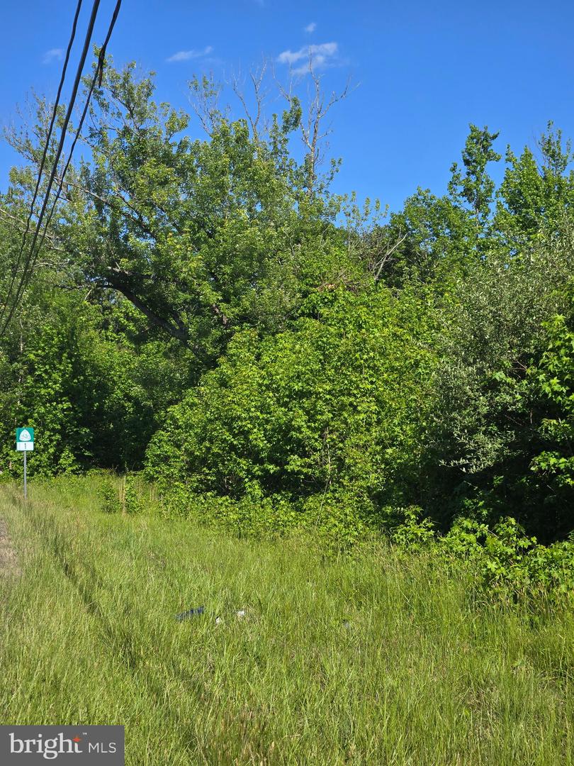 4336 Massaponax Church Rd Property Photo 3
