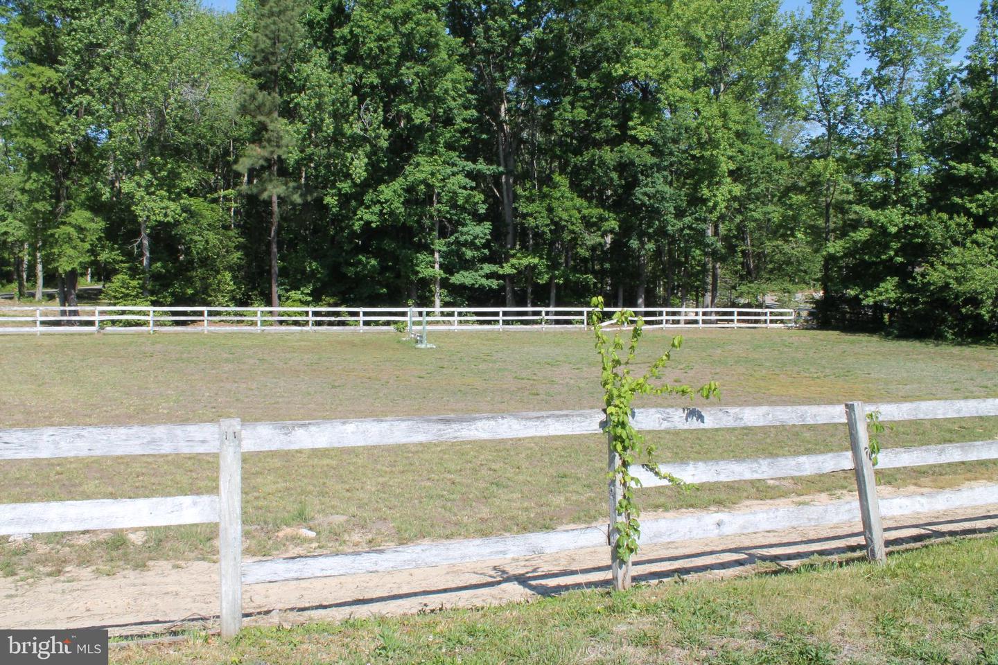 6019 And 6031 Hickory Ridge Rd Property Photo 9