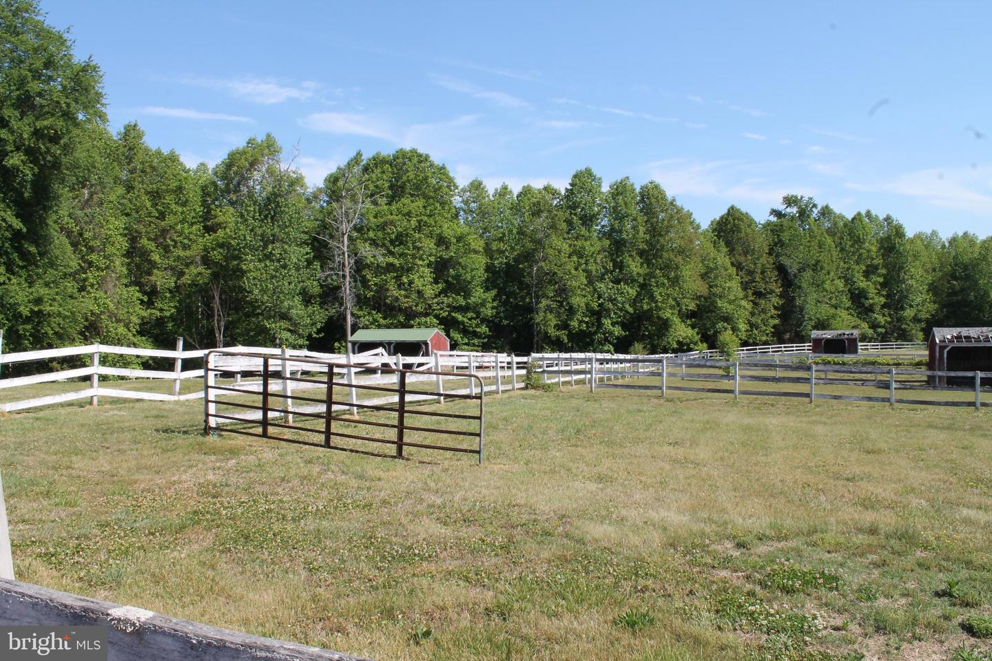 6019 And 6031 Hickory Ridge Rd Property Photo 15