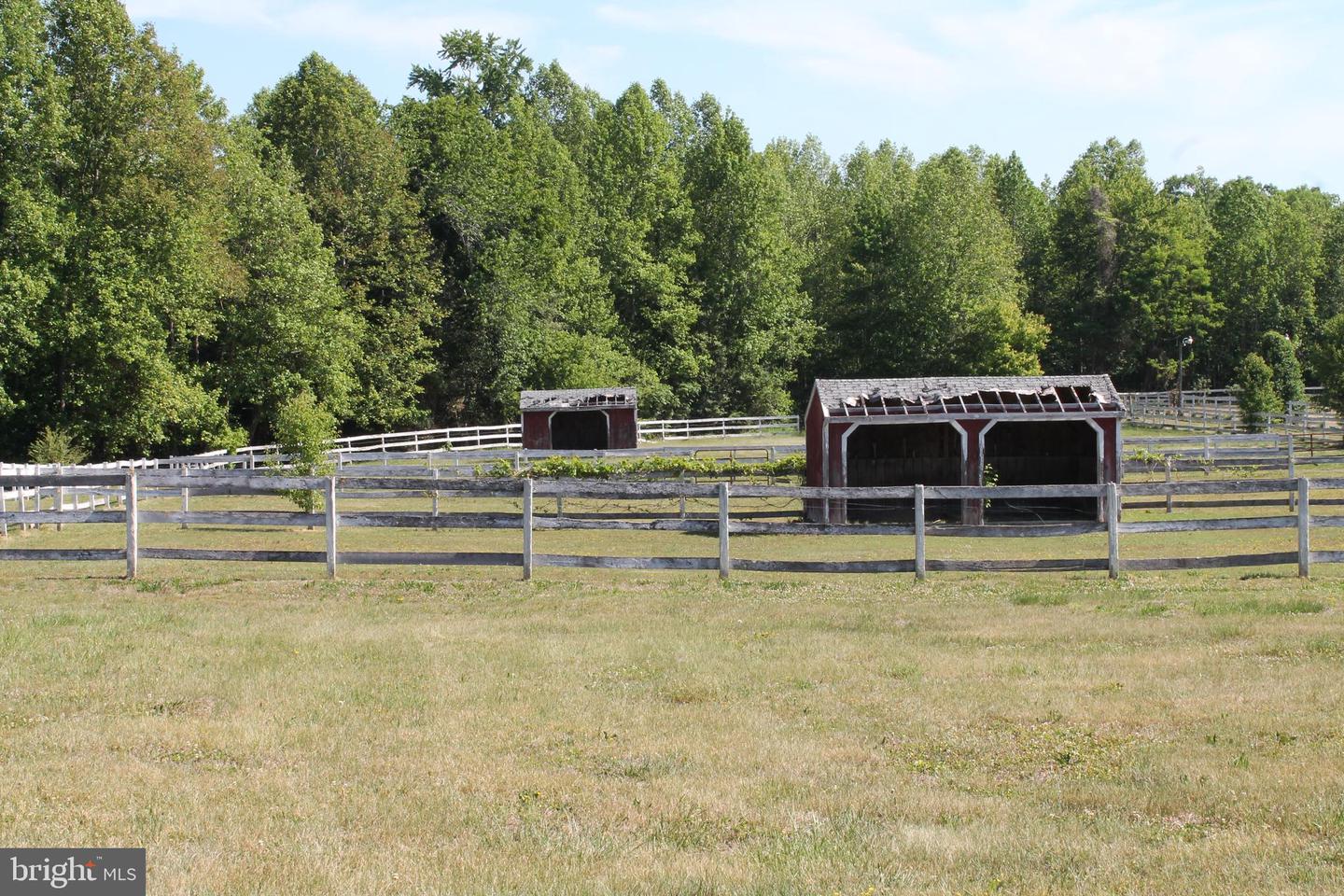6019 And 6031 Hickory Ridge Rd Property Photo 18