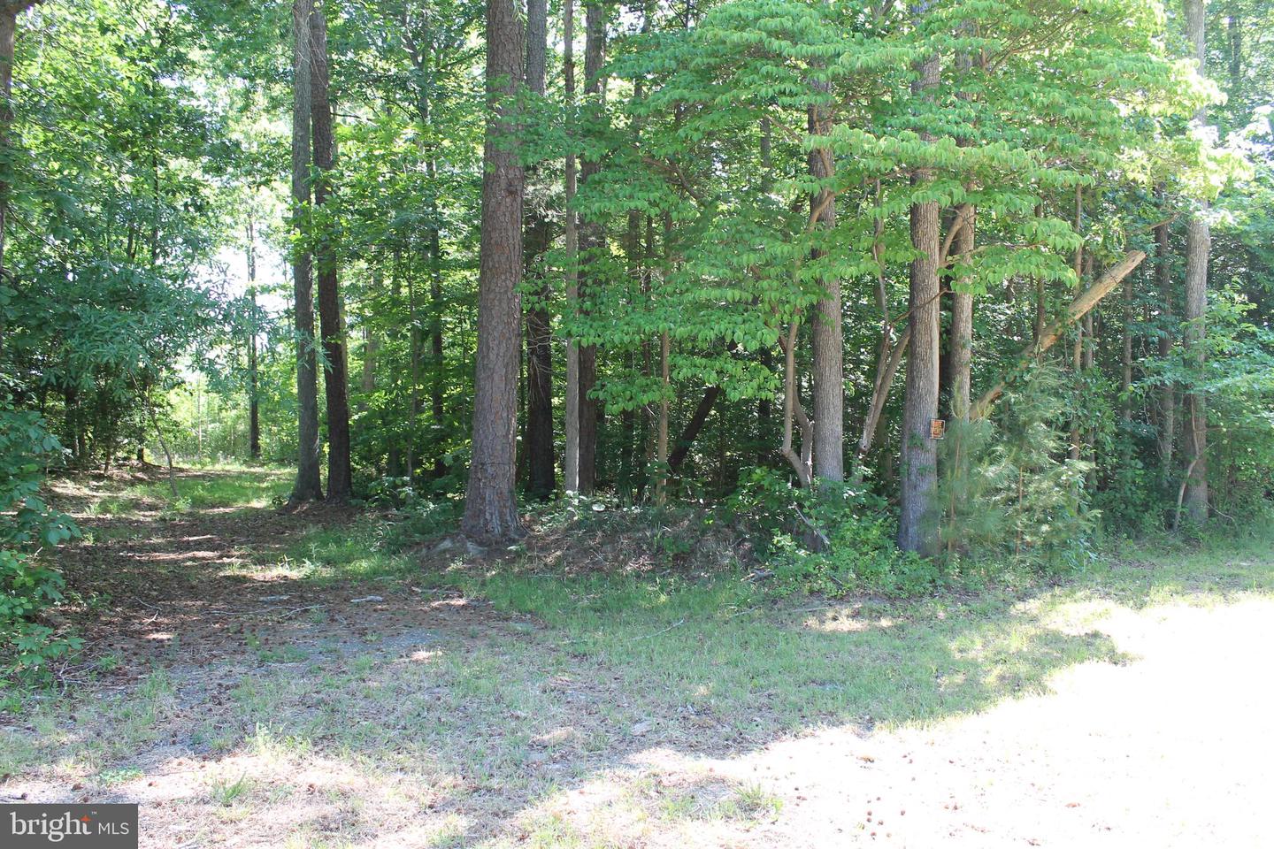 6019 And 6031 Hickory Ridge Rd Property Photo 26