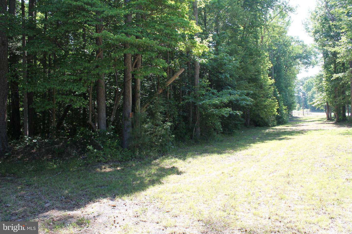 6019 And 6031 Hickory Ridge Rd Property Photo 27