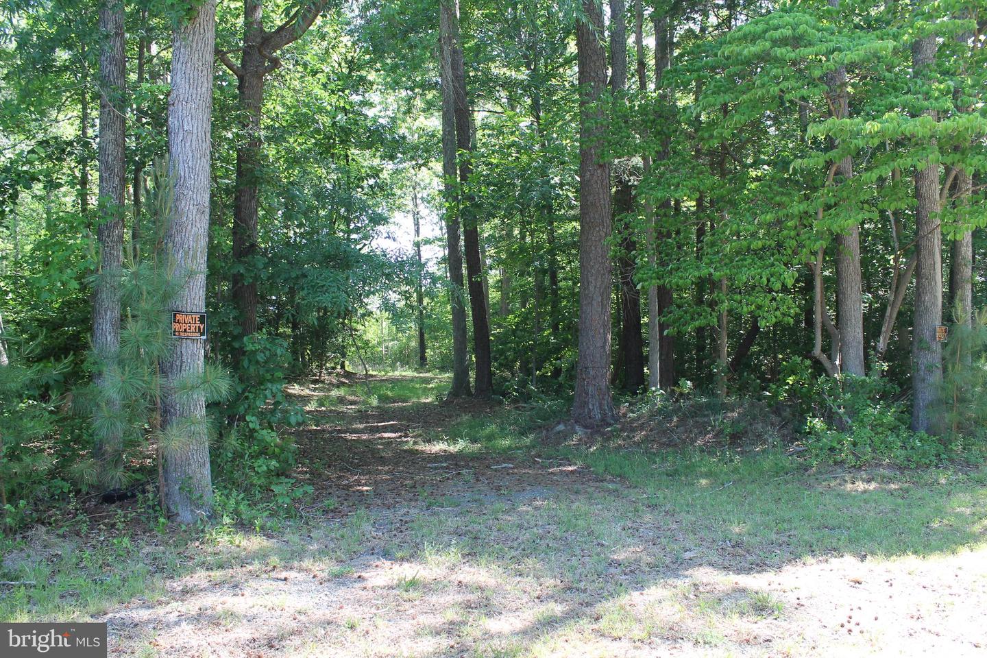 6019 And 6031 Hickory Ridge Rd Property Photo 28
