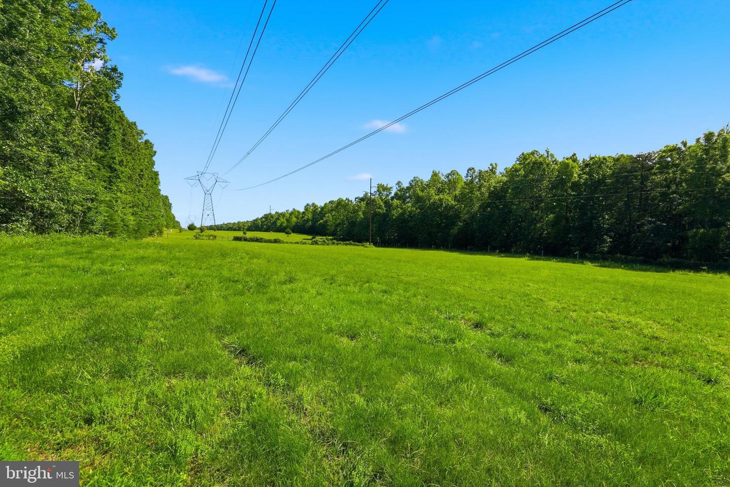 12925 Orange Plank Property Photo 44