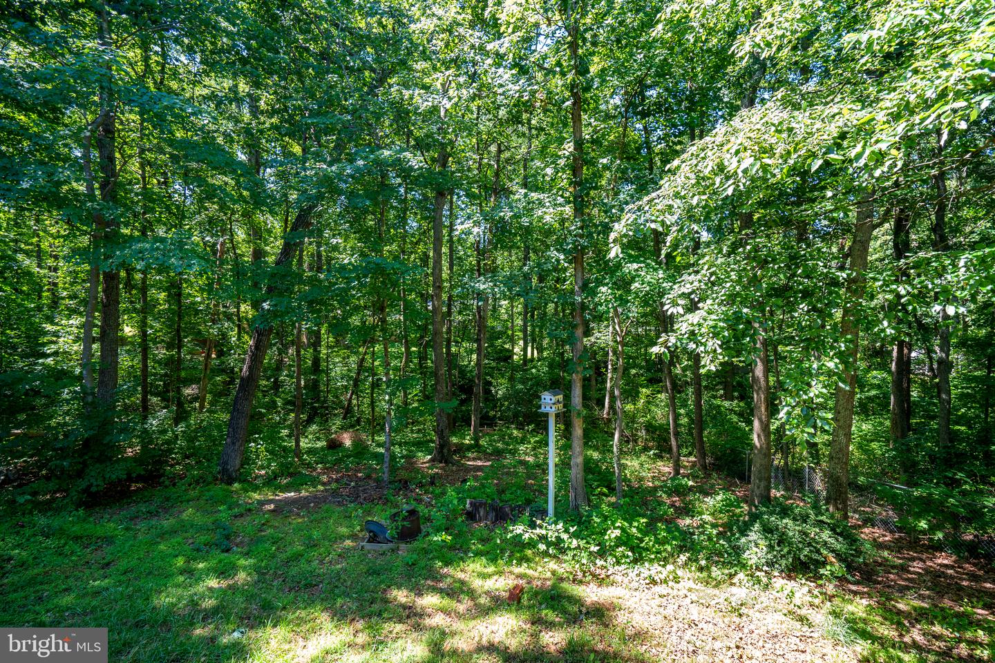 12816 Garrison Ln Property Photo 35