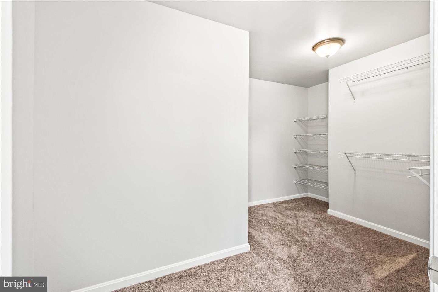 9912 Holland Meadows Ct Property Photo 29