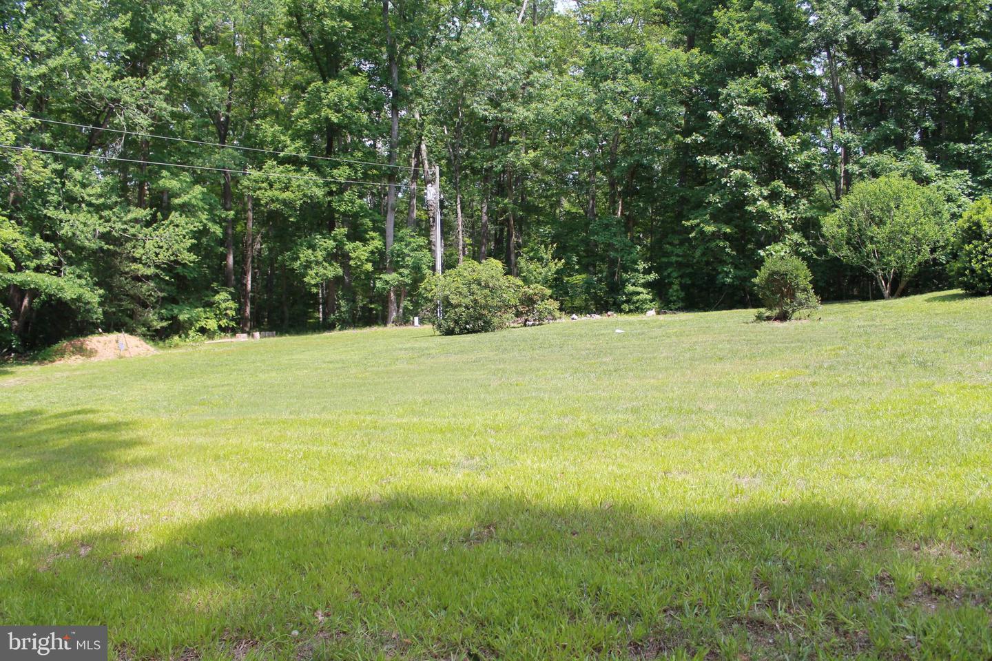 8531 Livingston Ct Property Photo 58