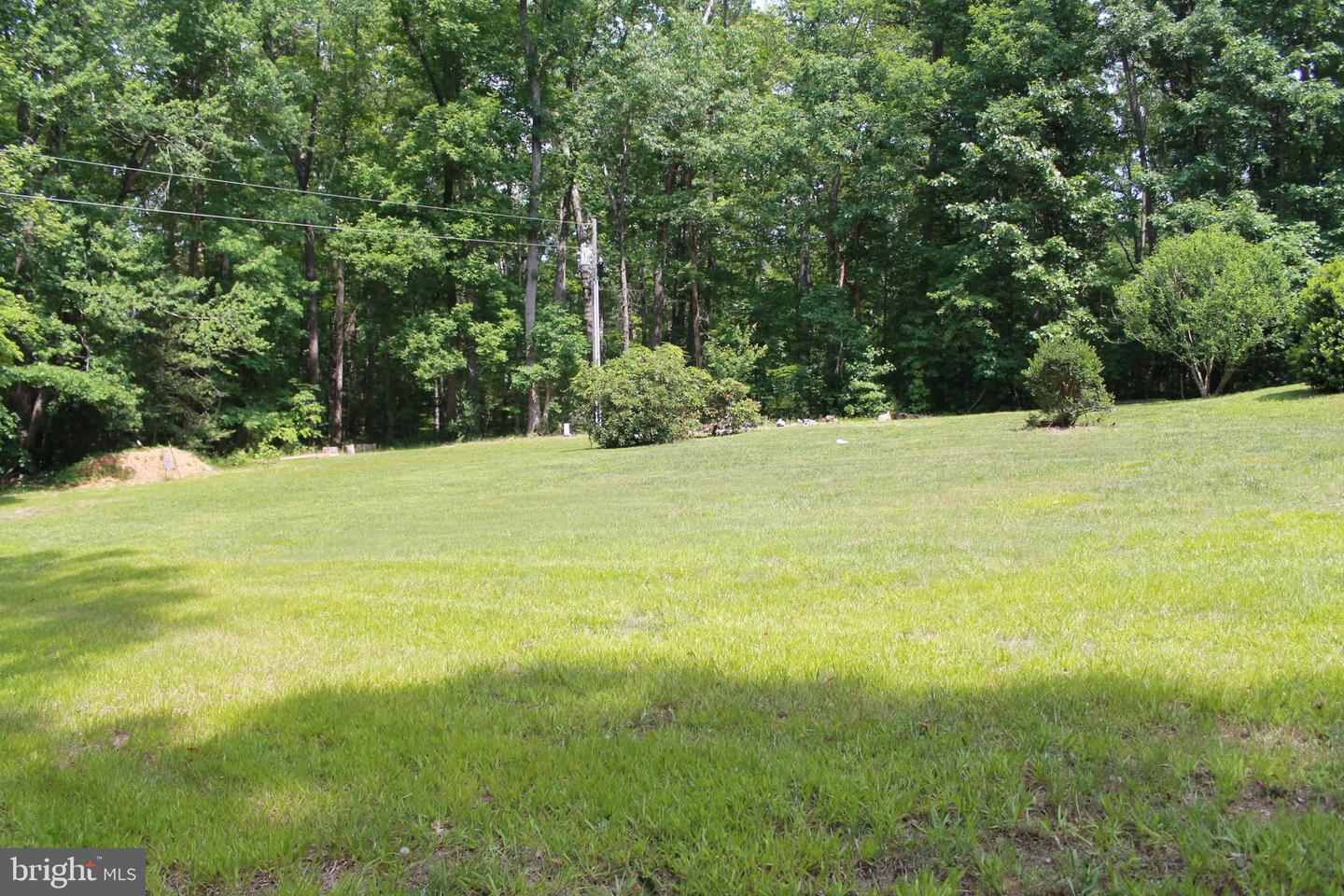 8531 Livingston Ct Property Photo 59