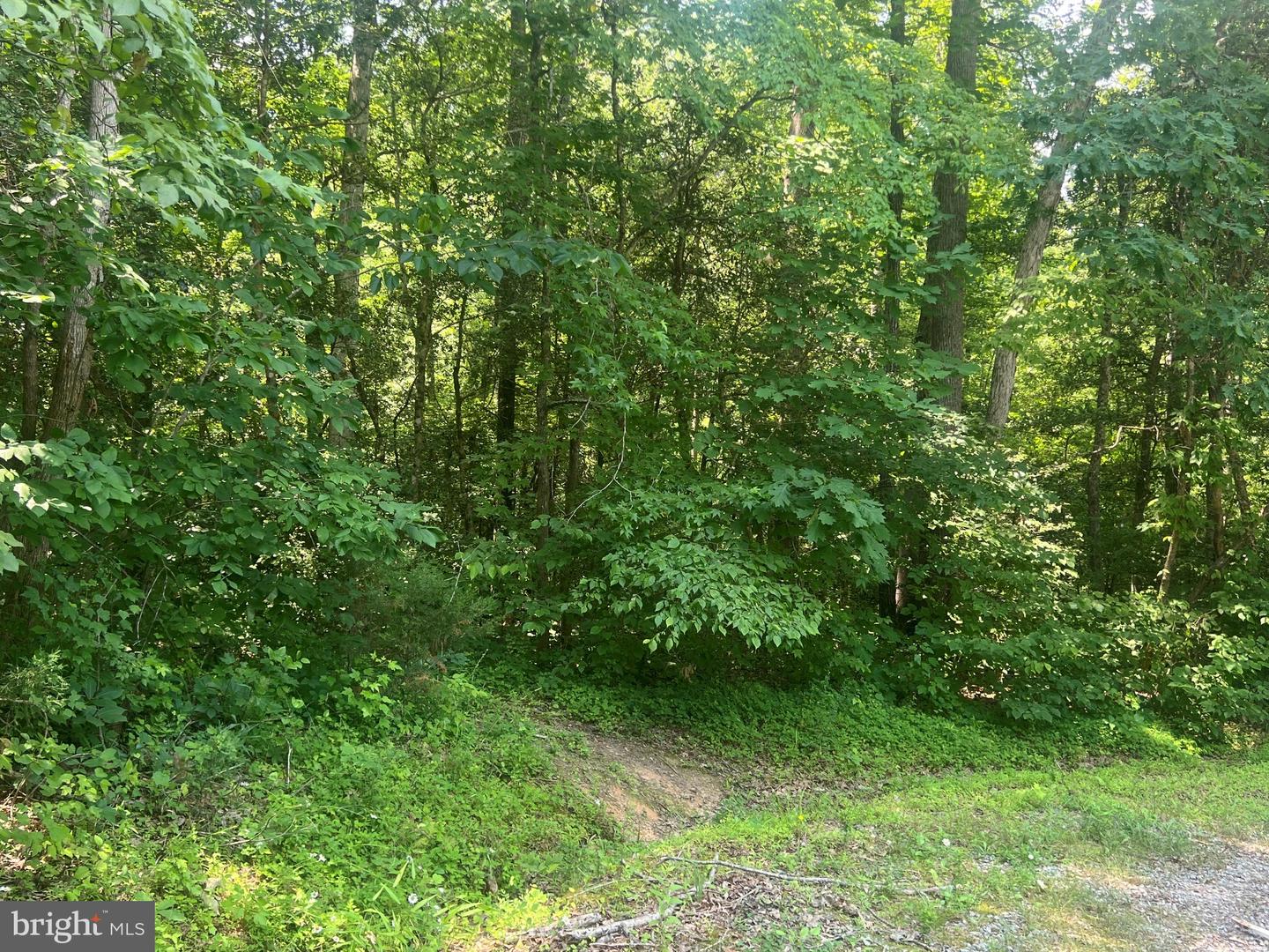 5517 Forest View Dr Property Photo 1