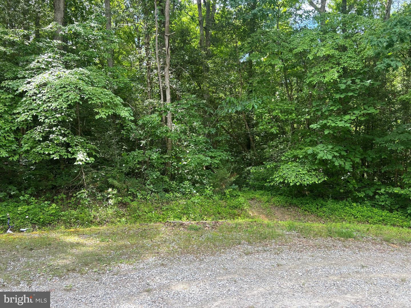 5517 Forest View Dr Property Photo 2