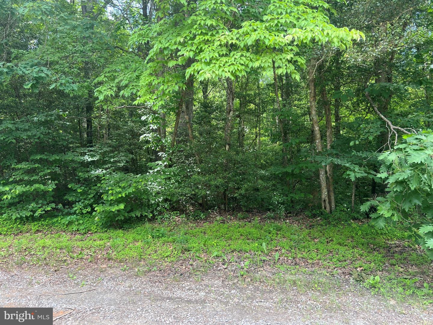 5517 Forest View Dr Property Photo 3
