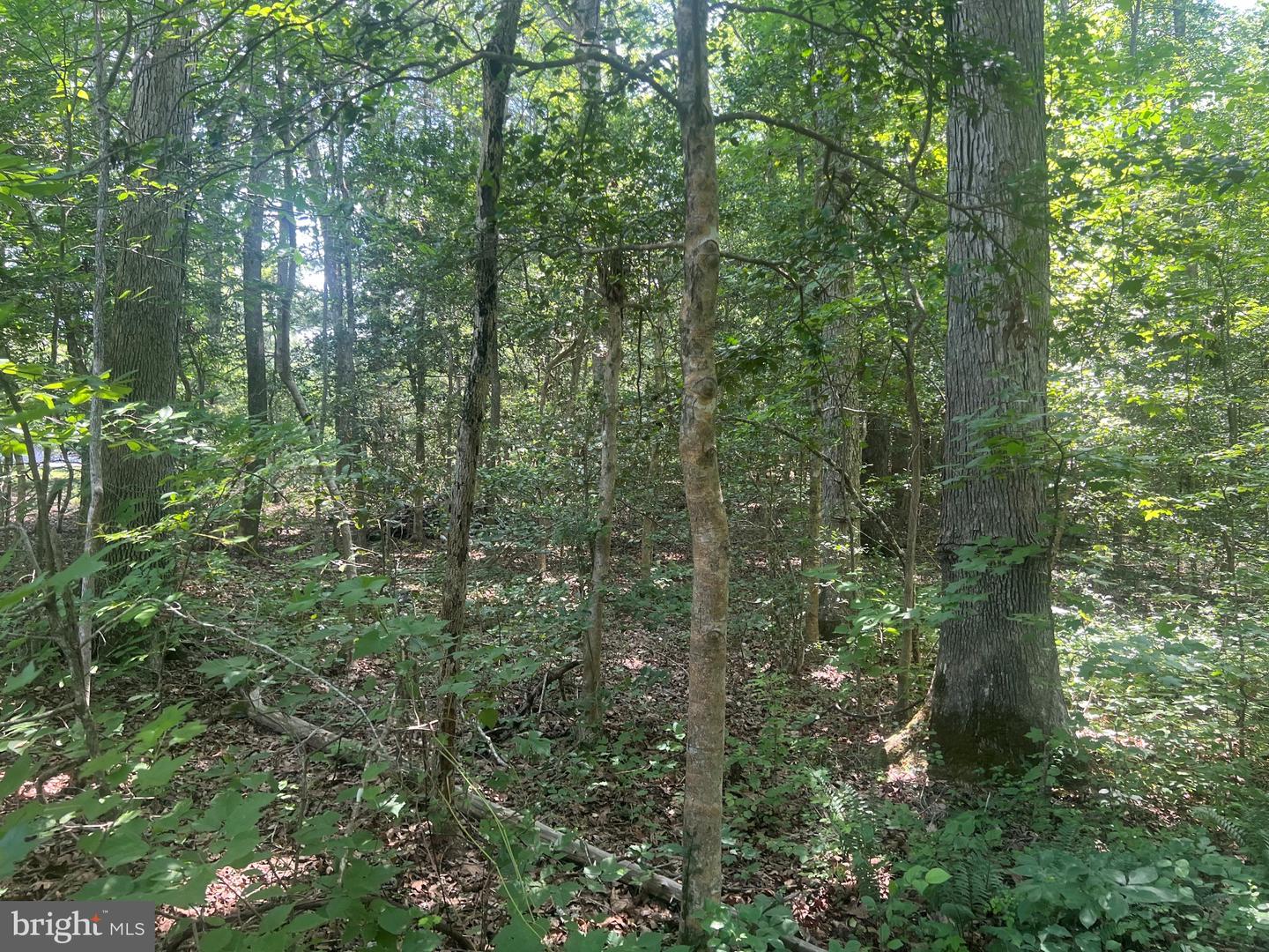 5517 Forest View Dr Property Photo 5