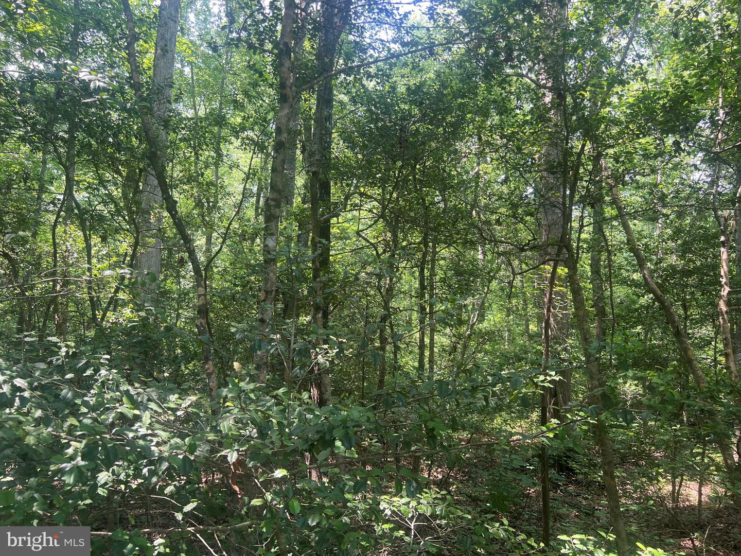 5517 Forest View Dr Property Photo 6